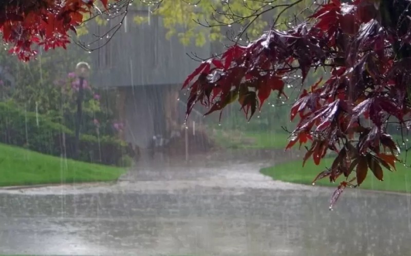 Rayonlarda yağıntılı və küləkli hava davam edir
